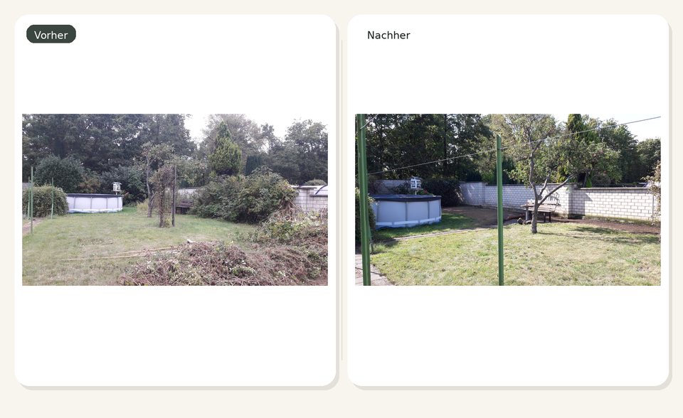 Vorher-Nachher-Vergleich eines Gartenbereichs nach Baumarbeiten und Freischnitt.
