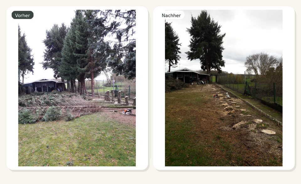 Vorher-Nachher-Vergleich eines Gartenbereichs nach umfangreichem Rückschnitt und Freiräumung.