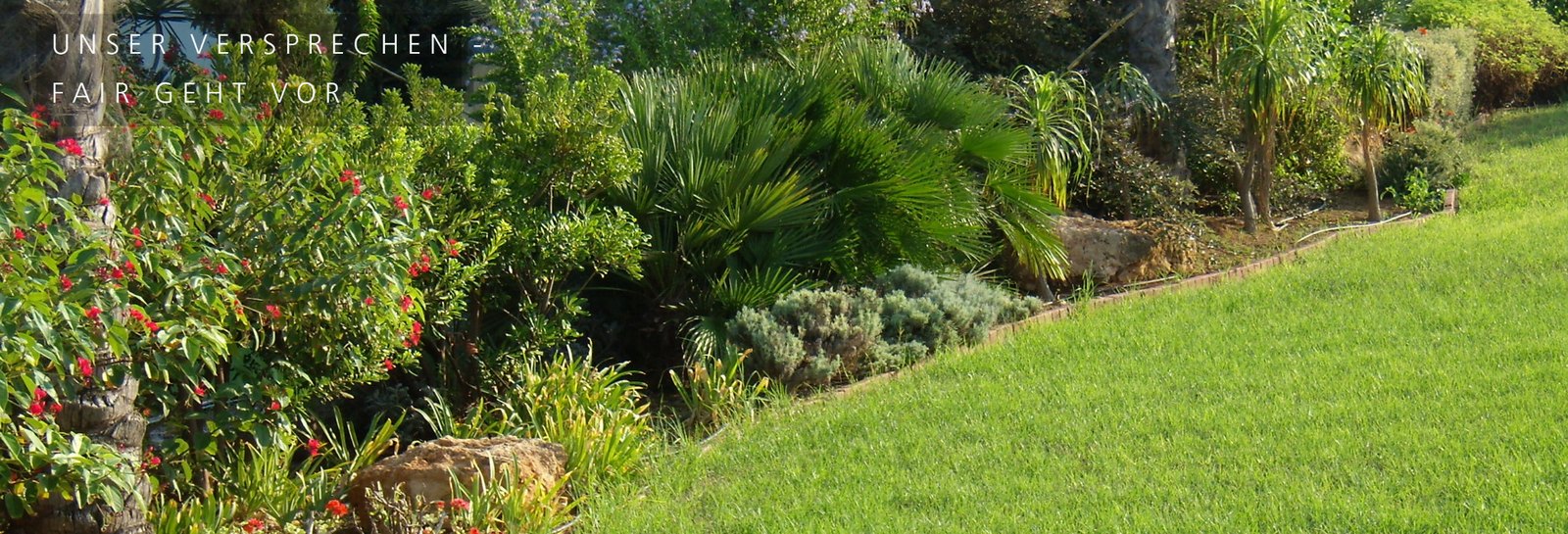 Professionell angelegte Gartenbeete mit Weg und gepflegter Struktur