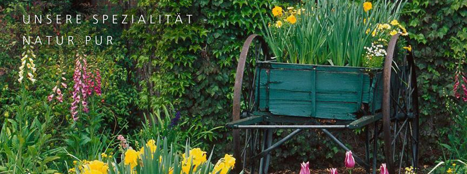Garten mit dekorativem Wagen und dichter Pflanzung