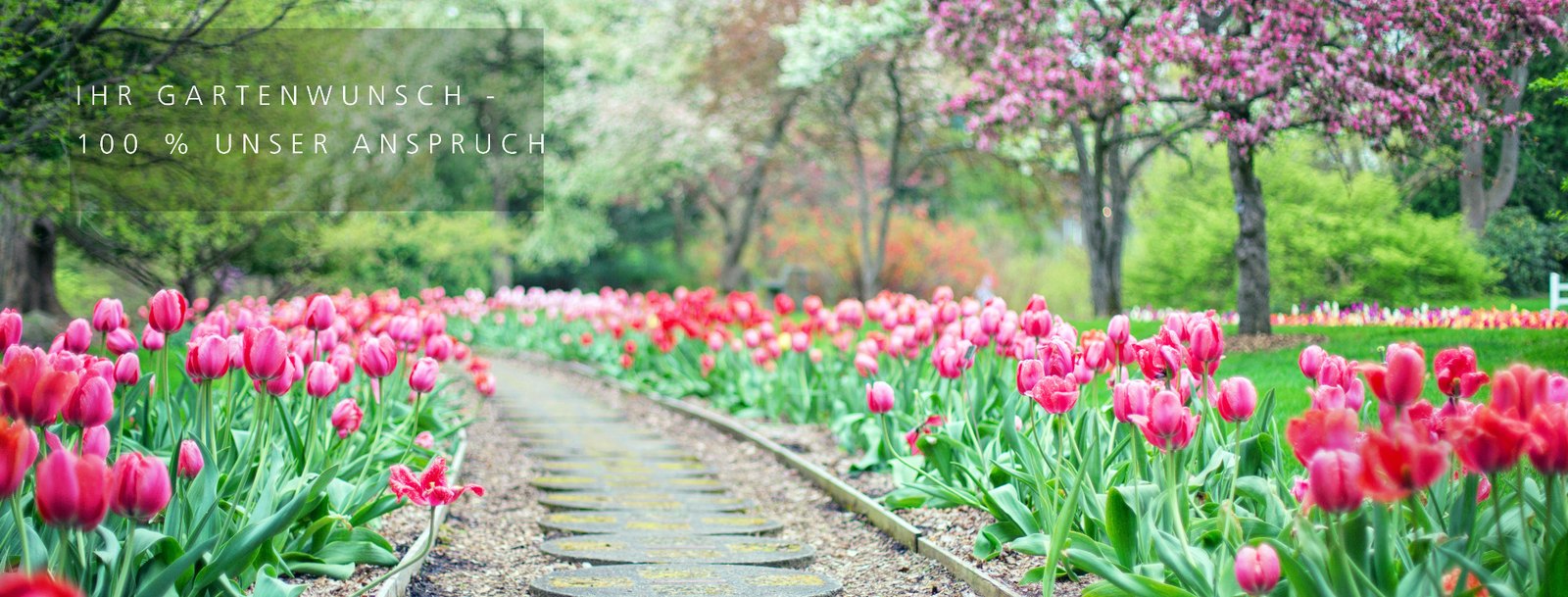 Bl&uuml;hender Gartenweg mit Tulpen in park&auml;hnlicher Umgebung